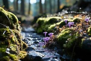 A stream in a forest with stones, moss and lilac flowers in sunny weather. Generated by artificial intelligence photo