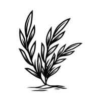 planta vector en negro y blanco con mano dibujado estilo.