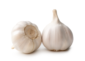 Two fresh white garlic bulbs isolated with clipping path and shadow in png file format, Thai herb is great for healing several severe diseases