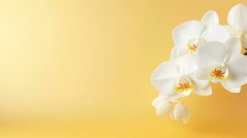 Beautiful white orchid flower on abstract yellow background with copy space. AI Generative. photo