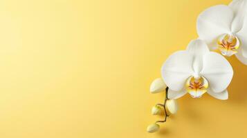 Beautiful white orchid flower on abstract yellow background with copy space. AI Generative. photo