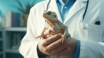 Veterinary clinic for exotic animals. Lizard in the hands of a veterinarian. AI Generative photo