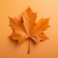 AI Generated Maple leaf closeup. Minimalism. photo