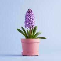 AI Generated Hyacinth flower in a clay pot. photo