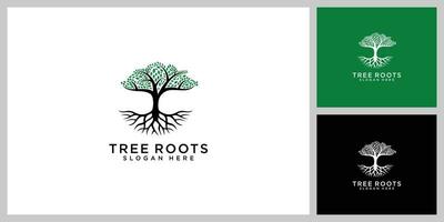 tree and root vector design template