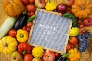 The inscription Harvest Day is laid out on the plate and vegetables and fruits are lying photo