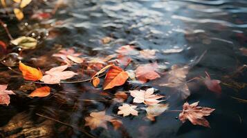 autumn leaves floating on the water, AI Generative photo