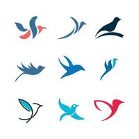 vector bird silhouette collection.