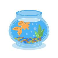 Cute cartoon golden fish and bubbles in a glass aquarium. Illustration, children's print, vector