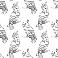 Seamless pattern, hand-drawn tropical birds parrots. Black and white print, background. Outline drawing, sketch. Vector