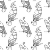 Seamless pattern, hand-drawn tropical birds parrots. Black and white print, background. Outline drawing, sketch. Vector