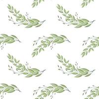 Seamless pattern, twigs and leaves of eucalyptus on a white background. Background, print, elegant textile, vector