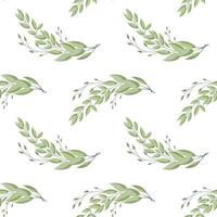 Seamless pattern, twigs and leaves of eucalyptus on a white background. Background, print, elegant textile, vector