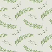 Seamless pattern, twigs and leaves of eucalyptus on a white background. Background, print, elegant textile, vector