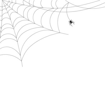 White background with cobweb and spider. Insects. Illustration, background with copy space, vector