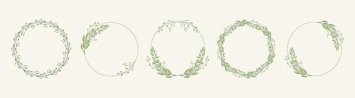 Set of round frames, wreaths with delicate branches of laurel leaves, eucalyptus leaves. Templates for cards and invitations in boho style. Vector