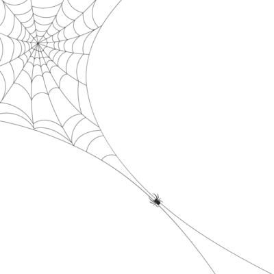 White background with cobweb and spider. Insects. Illustration, background with copy space, vector