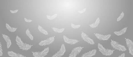 Seamless border, white feathers falling on a gray background. Feather abstract concept of freedom. Background with copy space, vector