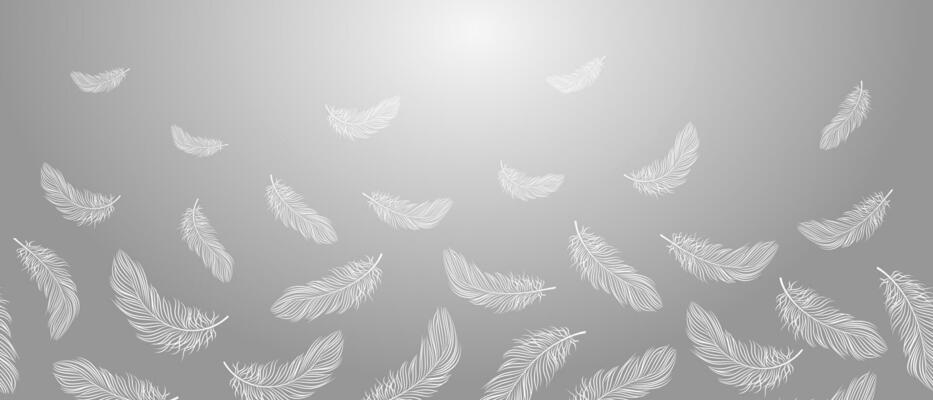 Seamless border, white feathers falling on a gray background. Feather abstract concept of freedom. Background with copy space, vector