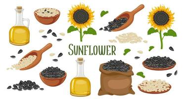 Sunflower set. Sunflower oil, sunflower plant, seeds in a canvas bag, wooden spoon and bowl. Agriculture, food. Vector