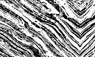 a black and white zebra print pattern vector