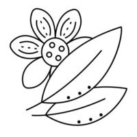 Jasmine flower and leaves, black line vector illustration in minimal style