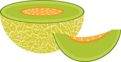 Half and slice of green melon vector