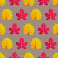 Autumn seamless background with colorful leaves. Design for fall season posters, wrapping papers and holidays decorations. Vector illustration