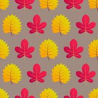 Autumn seamless background with colorful leaves. Design for fall season posters, wrapping papers and holidays decorations. Vector illustration