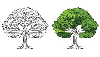 Vector trees outline on white background