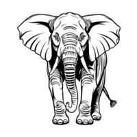 elephant outline drawing using a vector format