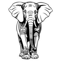 elephant outline drawing using a vector format