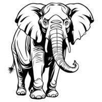 elephant outline drawing using a vector format