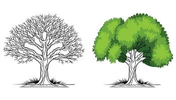 Vector trees outline on white background