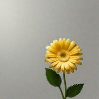 yellow vase isolated on white background. ai generative photo