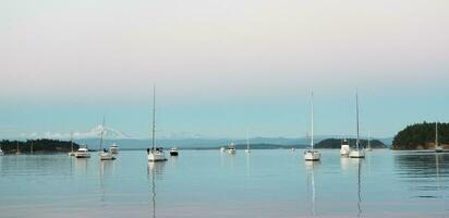 Boats Moored in the Pacific Northwest photo