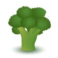 Broccoli closeup on white background, healthy food vector