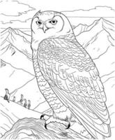 Snowy Owl on with mountain coloring page vector