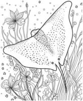 Stingray Coloring page Illustrations, Vectors