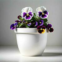 Pansy plant in white pot isolated on white background. ai generative photo