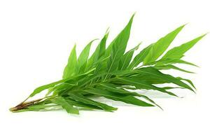 green leaf isolated on white background AI Generated photo