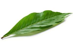 green leaf isolated on white background AI Generated photo