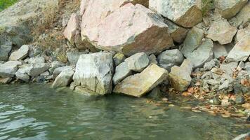 Rocky shore of lake on surface of which fallen leaves float. video