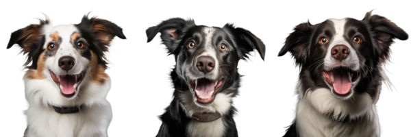 Cute playful and adroable dog transparent background AI Generative png