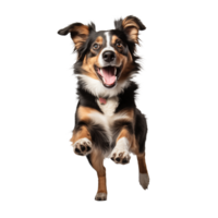 Cute playful and adroable dog transparent background AI Generative png