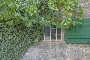 View of a half overgrown window with green shutters in an antique stone house photo