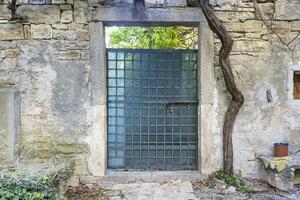 Image of a green entrance door to a residential building with an antique facade photo