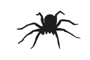 Tier-Insekt-Spinne Silhouette Muster Hintergrund png