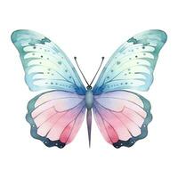 Watercolor exotic butterfly. Vector illustration with hand drawn butterfly, moth. Clip art image.