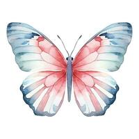 Watercolor exotic butterfly. Vector illustration with hand drawn butterfly, moth. Clip art image.